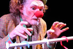 spectacle En Vert et Contre Rouge