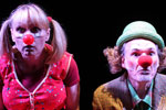 spectacle En Vert et Contre Rouge