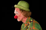 spectacle En Vert et Contre Rouge